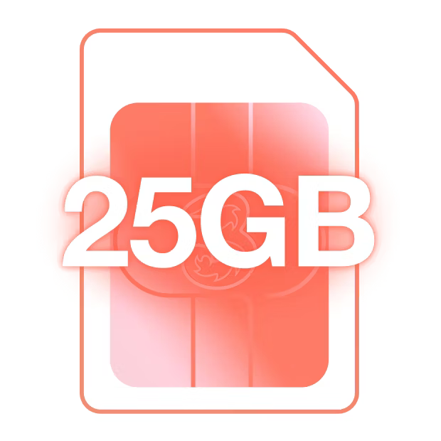 25 GB SIM only plan