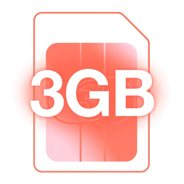 3 GB SIM only plan
